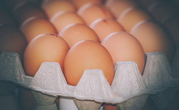 В Украине подешевели яйца: цены по регионам