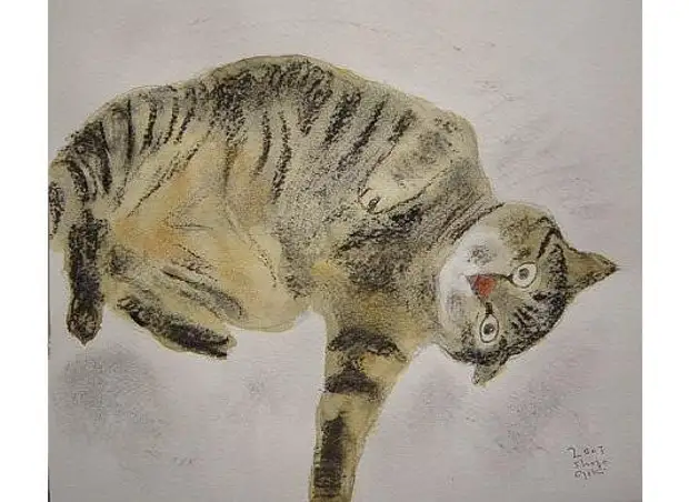 Shozo ozaki картины