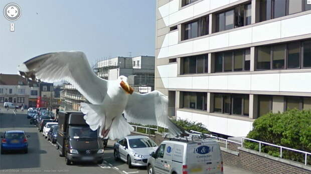 Странные снимки Google Street View