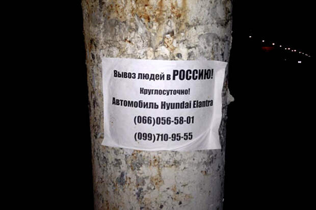 Фото: Илья Васюнин / «Русская планета»