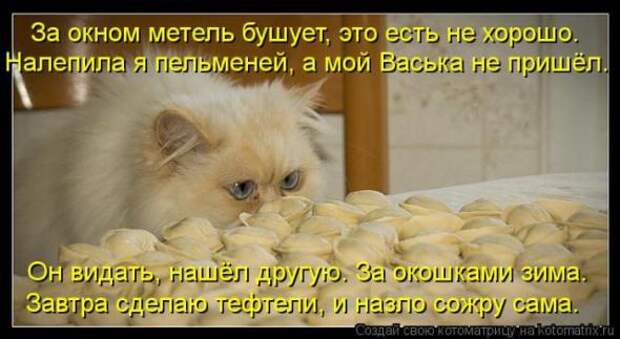 Котоматрицы (картинки с надписями)