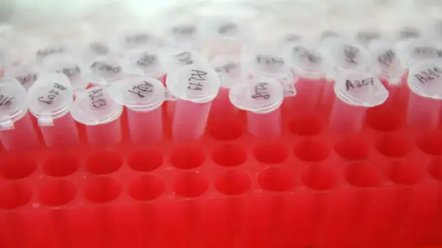 В Севастополе прокомментировали ситуацию с заболеваемостью COVID-19