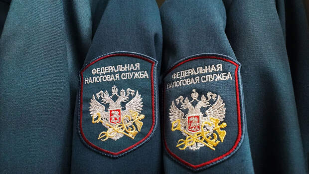 Экономист Шедько: проверки ФНС соцсетей россиян стали быстрее и масштабнее