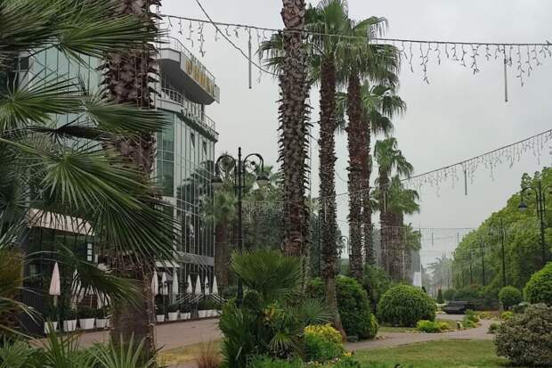 Из Воркуты в Сочи и обратно: почему северянин сбежал от моря