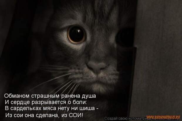 Уфф!!! Ну наконец-то! Котоматрицы великолепные, каждая с улыбкой и хорошим настроением!
