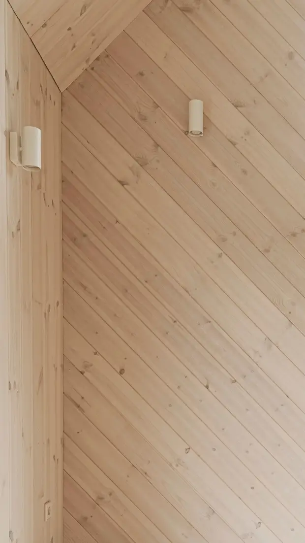 Загородный деревянный дом с террасами в Литве