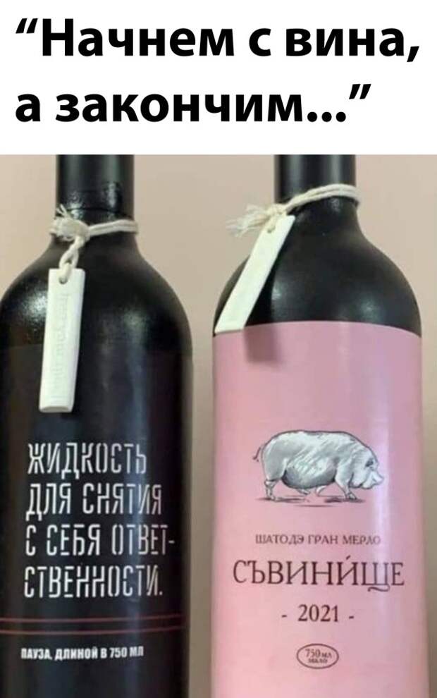 Смешные картинки вечер 25 февраля 2021