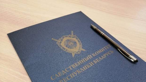 Задержанных в Белоруссии россиян подозревают в подготовке беспорядков