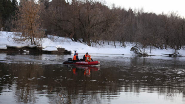 «Невосполнимая утрата»: в Звенигороде нашли тело пропавшей девочки