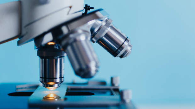 Мюнхенские ученые привели доказательства неслучайности происхождения жизни