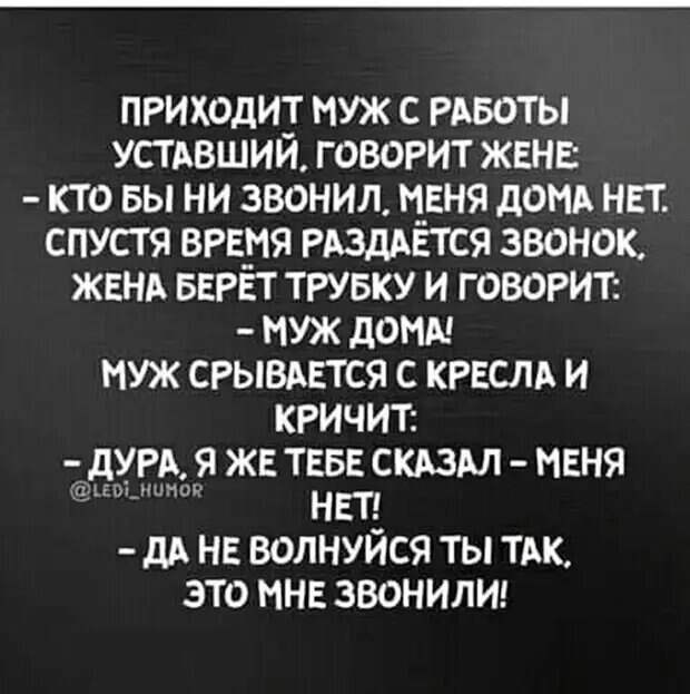 Уважаемые друзья! Часто в различных источниках можно прочесть анекдоты, от которых порой не знаешь — смеяться или плакать.-11