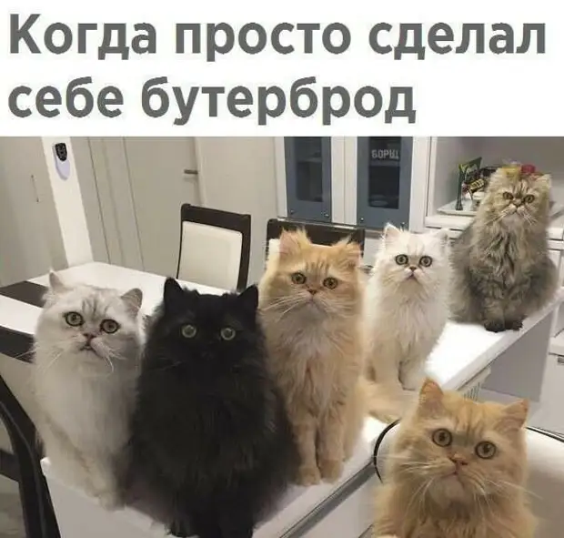 - Моня, какой все-таки грех, что у нашей Софочки ребенок...