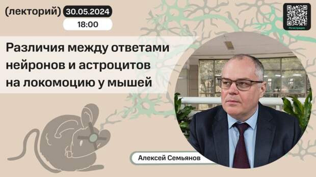 Алексей Семьянов: нейроны, астроциты и движение