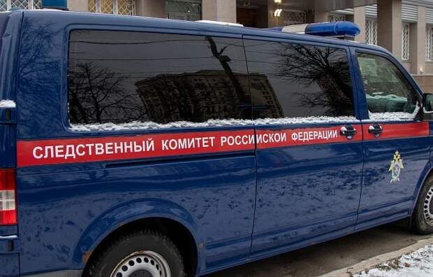 В Богородицке на улице Урицкого на женщину с новорожденным ребенком с крыши дома упала наледь