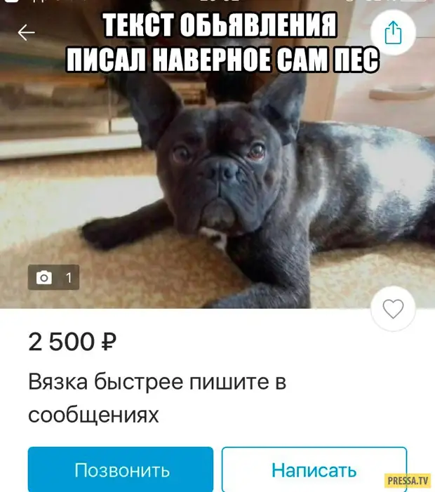 После этого он напишет