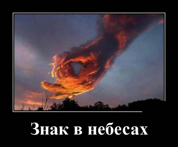 Демотиваторы (30 фото)