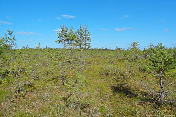 004_Ustyuzhna_026
