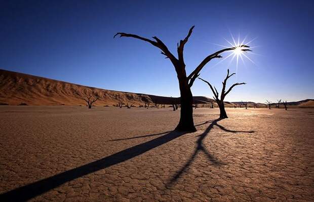 Сюрреалистические пейзажи Мертвой долины в Намибии. Фото
