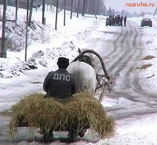 Юмор из интернета 711