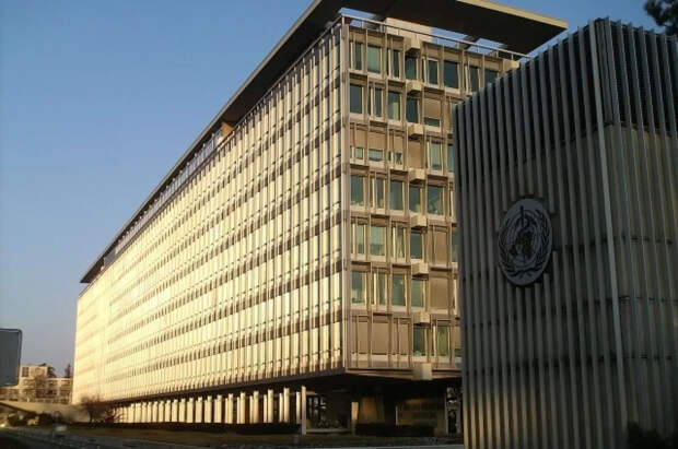 В ВОЗ заявили о 1 800 убитых из-за эскалации конфликта на Ближнем Востоке