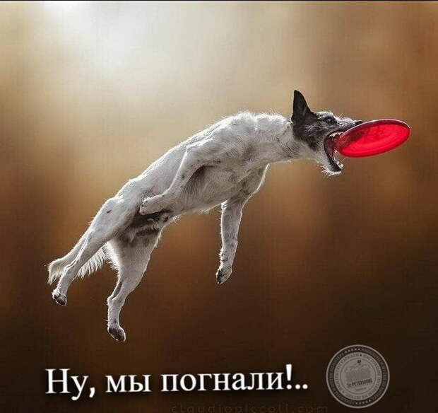 Ну, мы погнали!