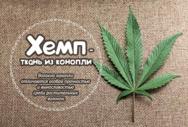 конопля текстом