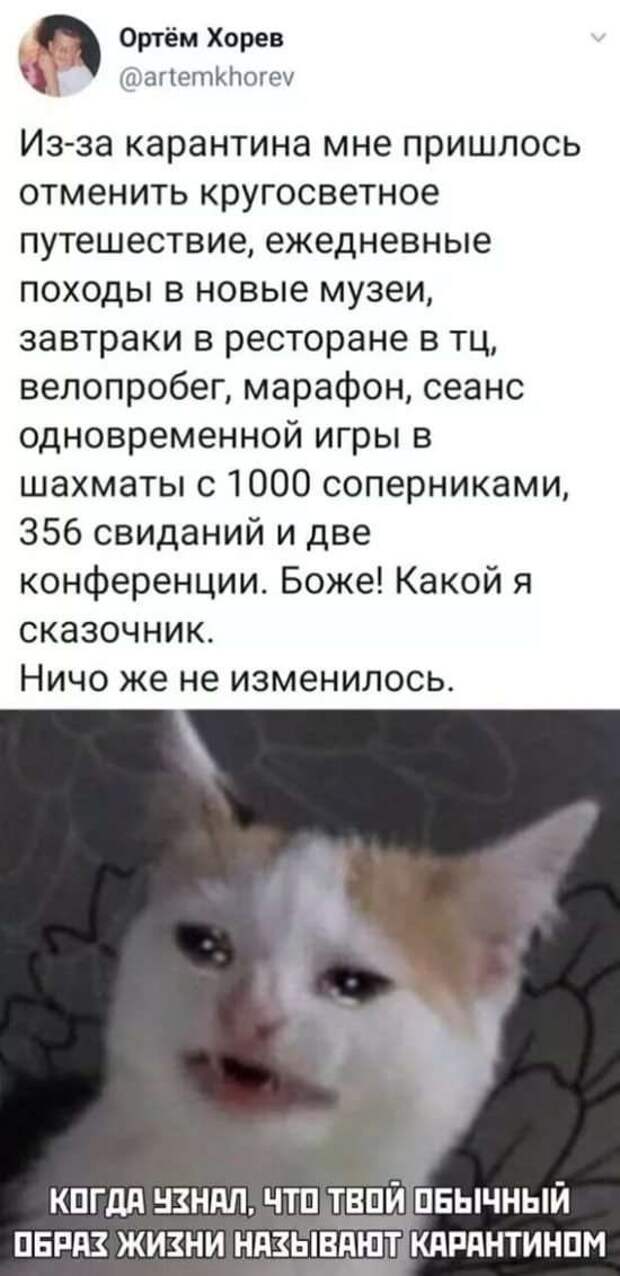 Смешные комментарии. Подборка chert-poberi-kom-chert-poberi-kom-51400623082020-9 картинка chert-poberi-kom-51400623082020-9