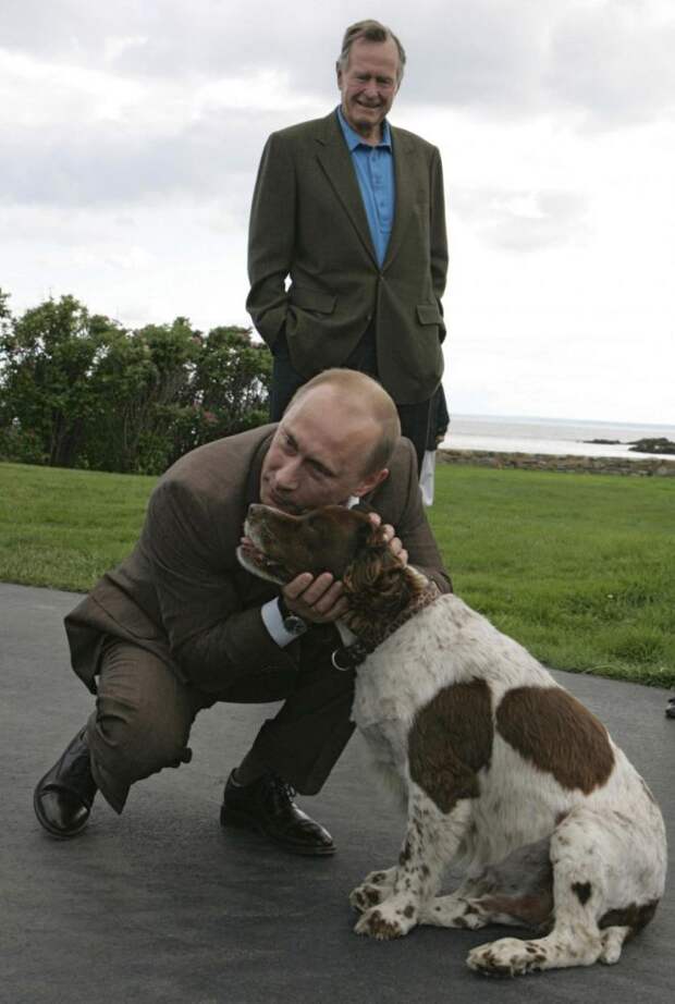 Путин и собака