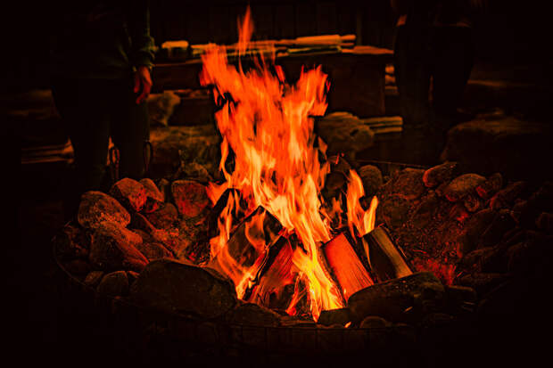 В Кузбассе введут особый противопожарный режим с 15 апреля