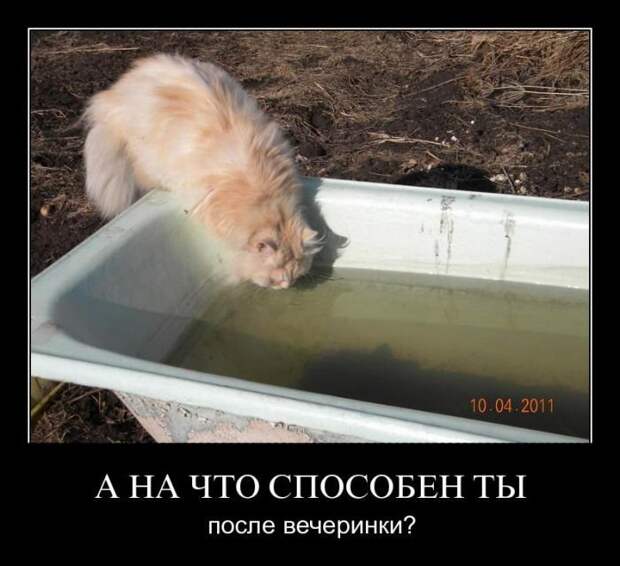Дополнительная подборка пятничных демотиваторов (11 фото) Дополнительная подборка пятничных демотиваторов (11 фото)
