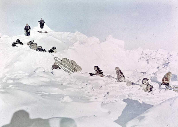 Пленники льдов Антарктики