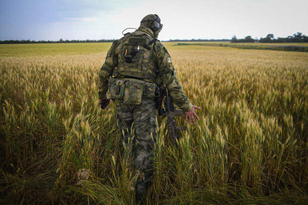 Волошин: перемирие показывает, что Россия разделяет общие ценности с Украиной