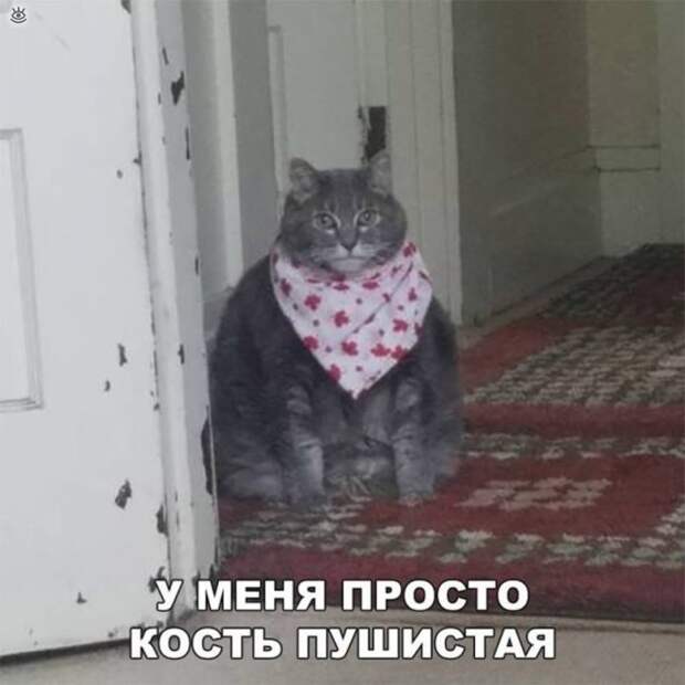 Поддержи близкого человека 5