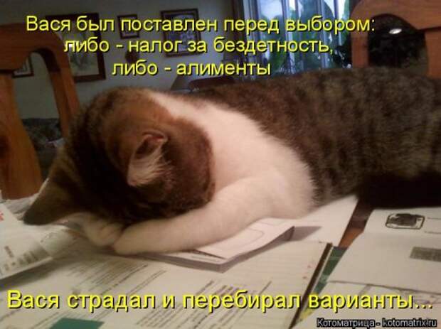 Новая котоматрица (44 шт)