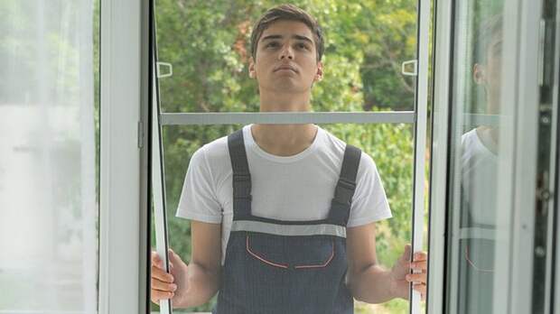 Россиян предупредили о мощном нашествии комаров