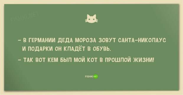 25 смешных анекдотов про кошек и котов 25 смешных анекдотов про кошек и котов