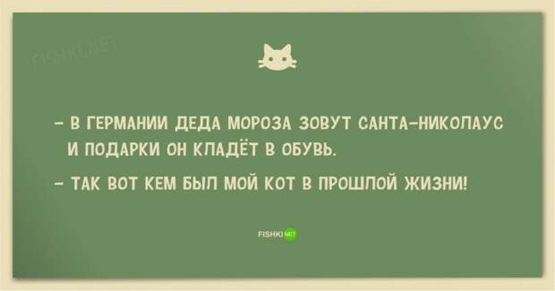 25 смешных анекдотов про кошек и котов