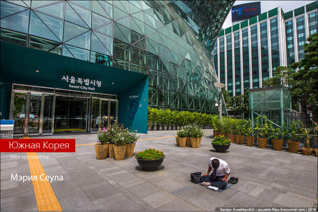 Мэри Сеула / Seoul City Hall