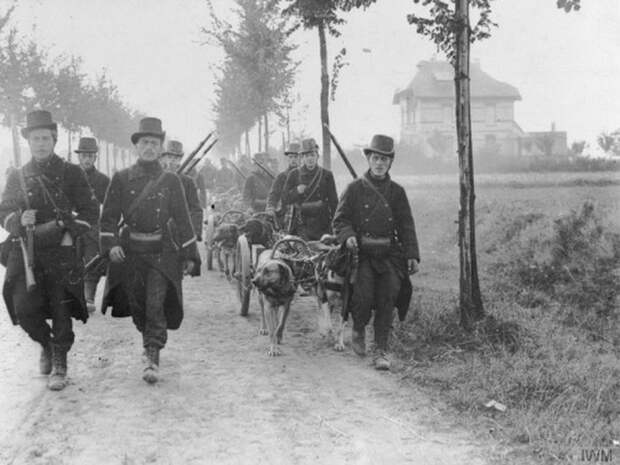 Подборка редких фотографий со всего мира. Часть 34  (30 фото)