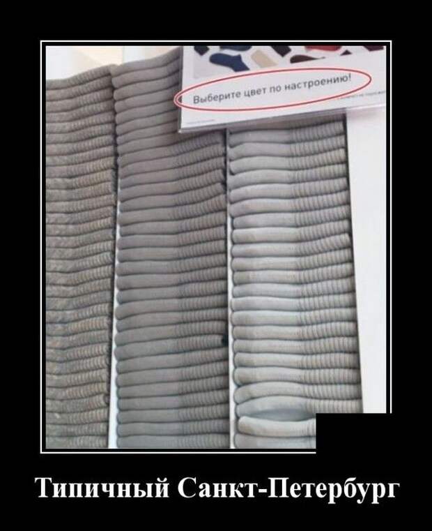 demotivatory-demotivator-smeshnye-demotivatory-demotivator-so-smyslom