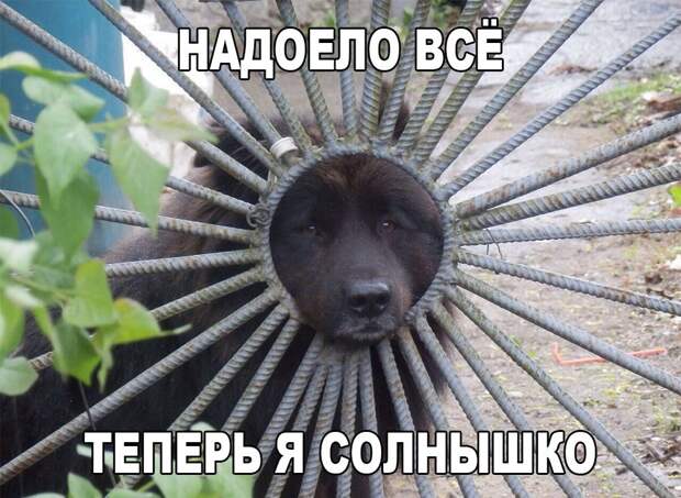 b5_4B9Up_Y8