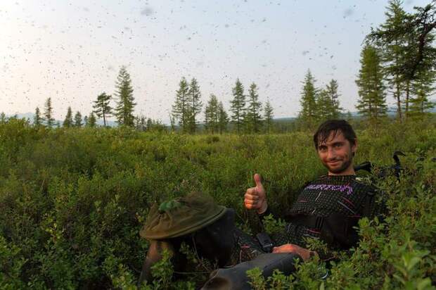 glavnizver1.jpg glavnizver1.jpg