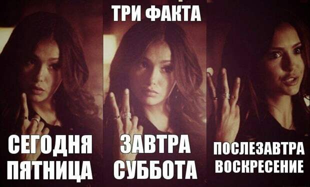 Вместо заключения: забавные картинки, прикол, юмор