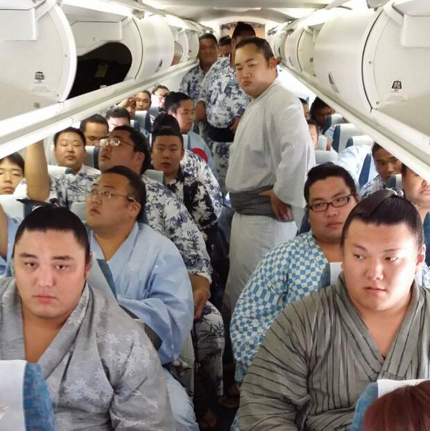 Подборка прикольных картинок