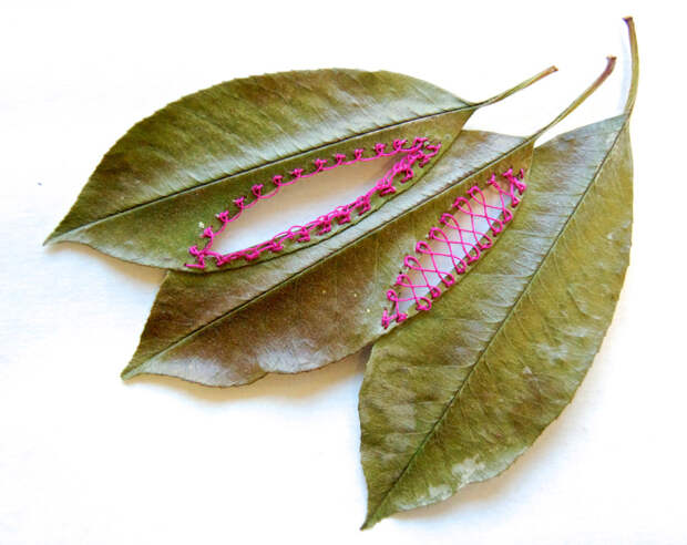 уникальная вышивка на листьях 