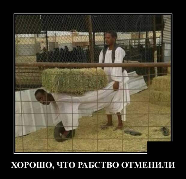 Демотиваторы (20 фото)