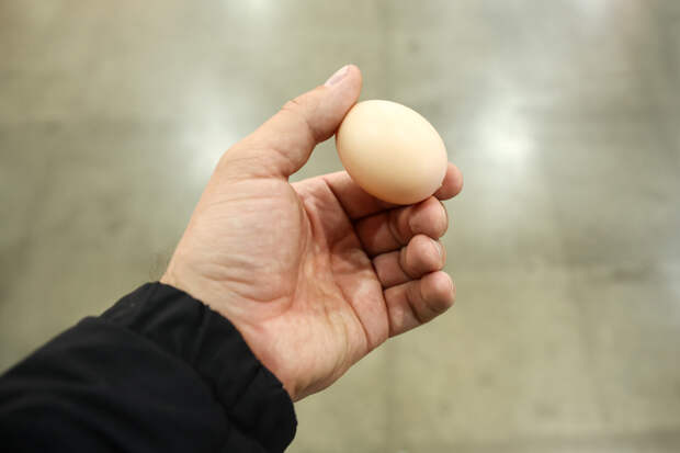 Куриные яйца с начала 2024 года подешевели на 12,4 процента