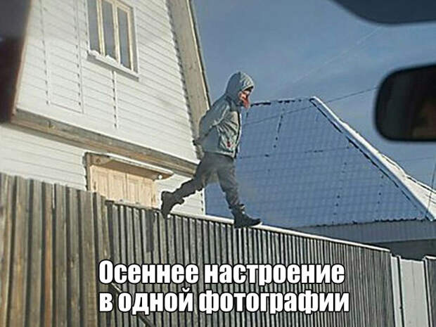 1480275371_54
