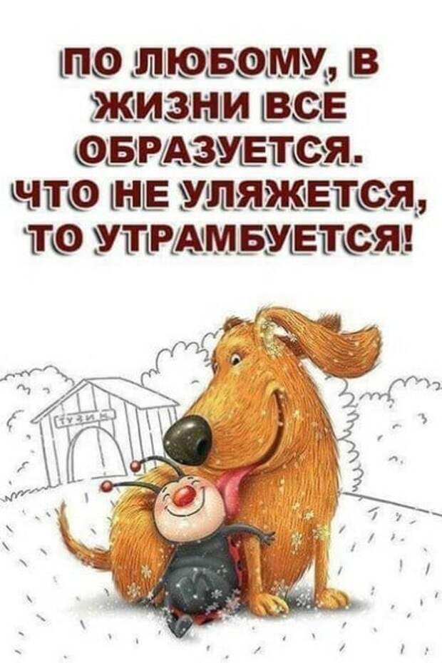 Все образуется