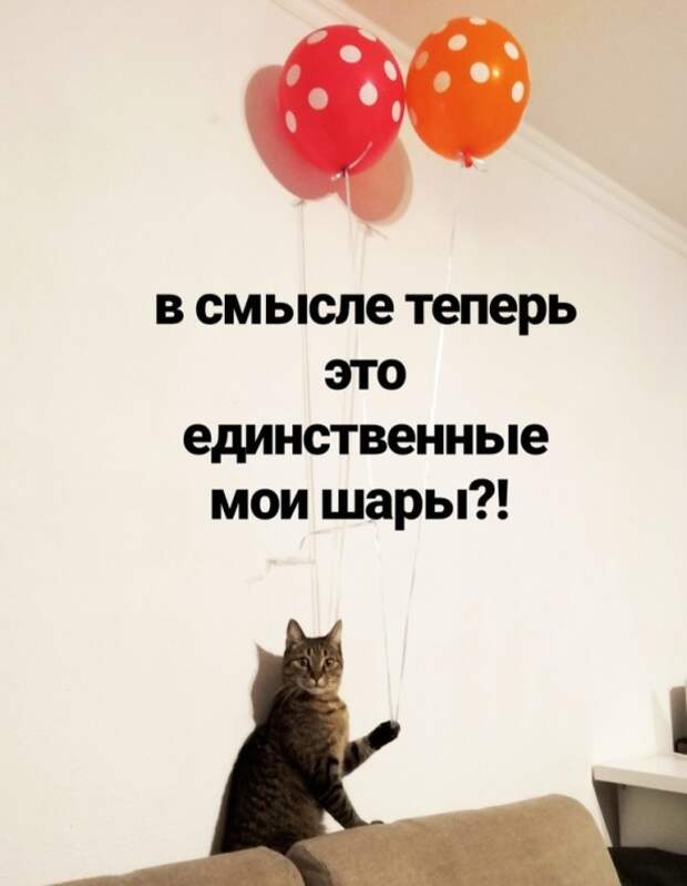Подборка картинок. Дневной выпуск (22 фото)
